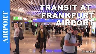 TRANSIT WALK AT FRANKFURT Airport FRA Terminal 1  Connection Flight Transfer Arriving amp Departing [upl. by Adnohs56]